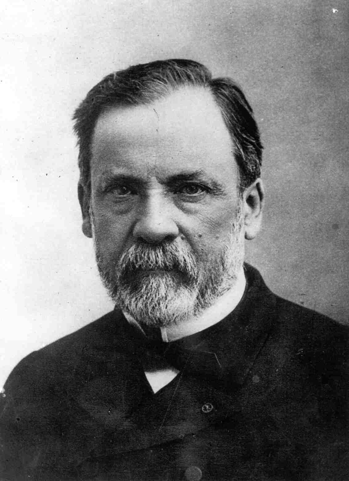 Louis Pasteur (1822 1895) Derrière la frise LSHTM Guinguette